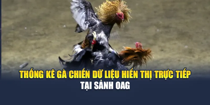 Trải Nghiệm Sảnh Đá Gà OAG Đỉnh Cao Tại Nhà Cái 78WIN 7 Thống kê gà chiến dữ liệu hiển thị trực tiếp tại sảnh OAG